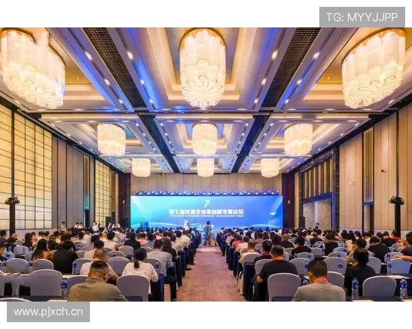 企业家理论的创新视角与实践路径探索：推动经济发展与社会变革的核心力量